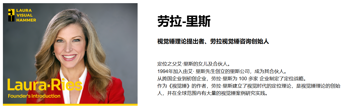 关于劳拉·视觉锤